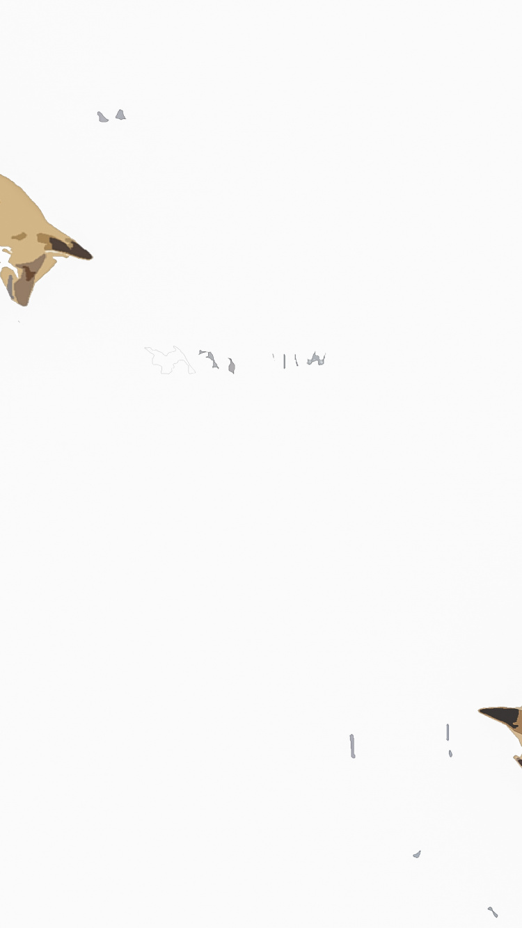 Red Fox, Procyonidae, Ecoregion, Carnivore, Fawn. Wallpaper in 750x1334 Resolution