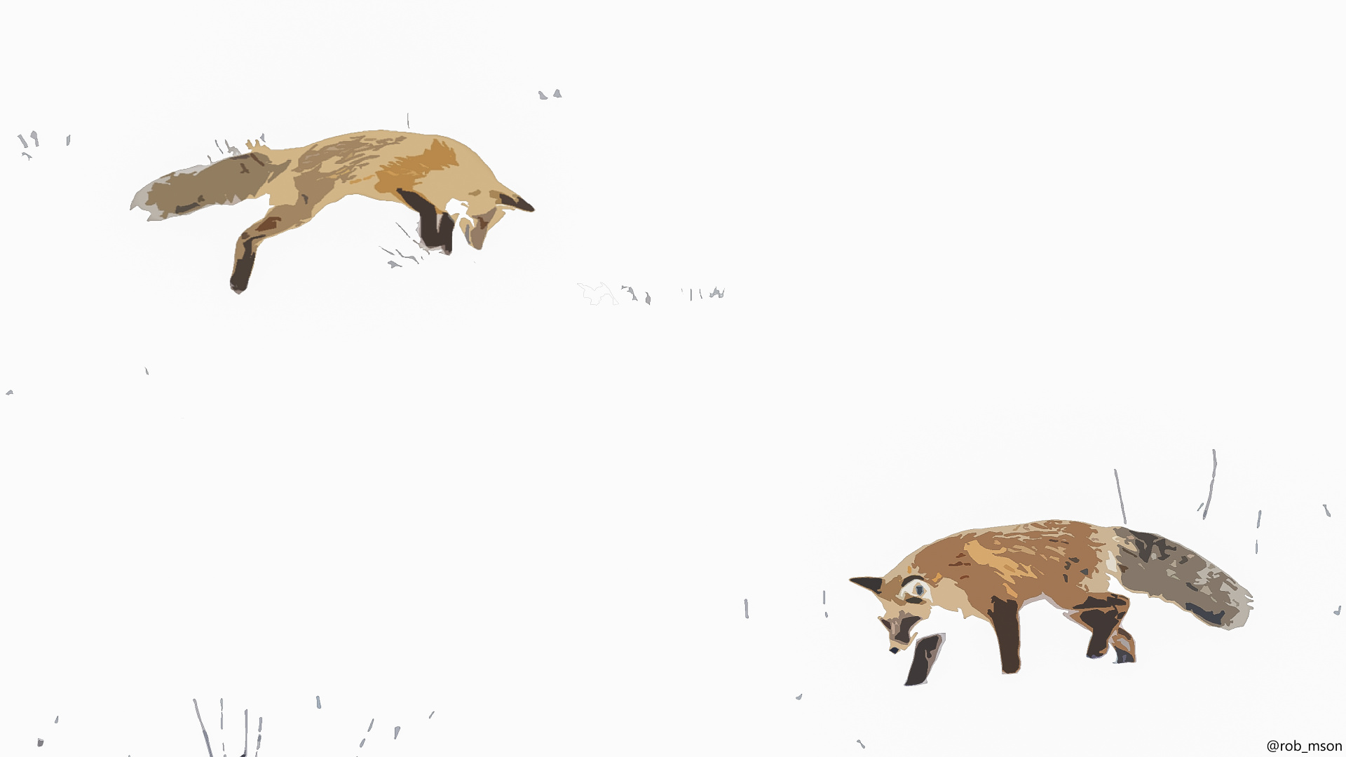 Zorro Rojo, Procyonidae, Ecorregión, Carnívoro, Fawn. Wallpaper in 1920x1080 Resolution