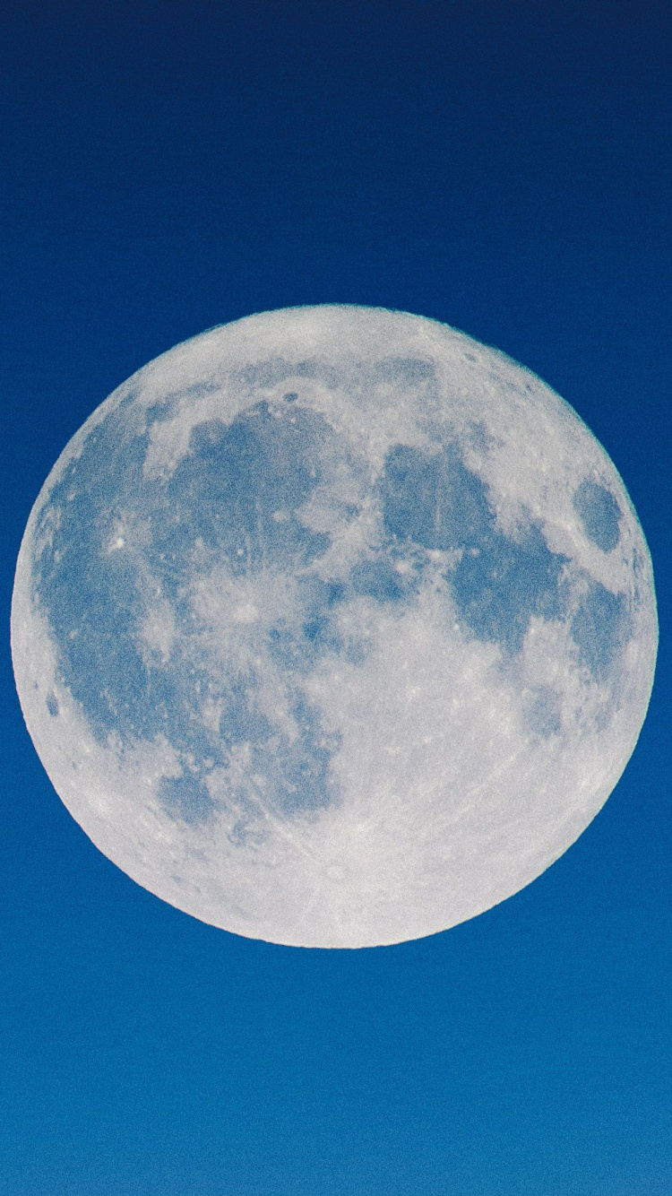 Full Moon in The Sky. Wallpaper in 750x1334 Resolution