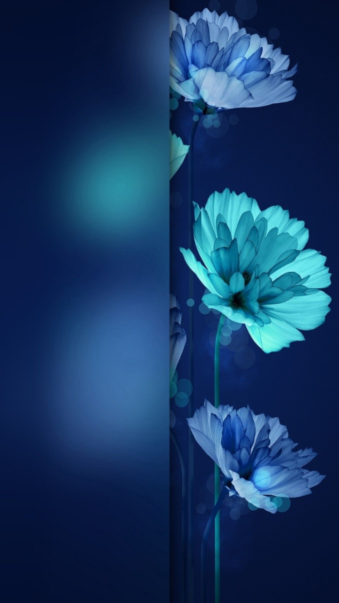 Rose, Blau, Azure, Blütenblatt, Aqua. Wallpaper in 1080x1920 Resolution