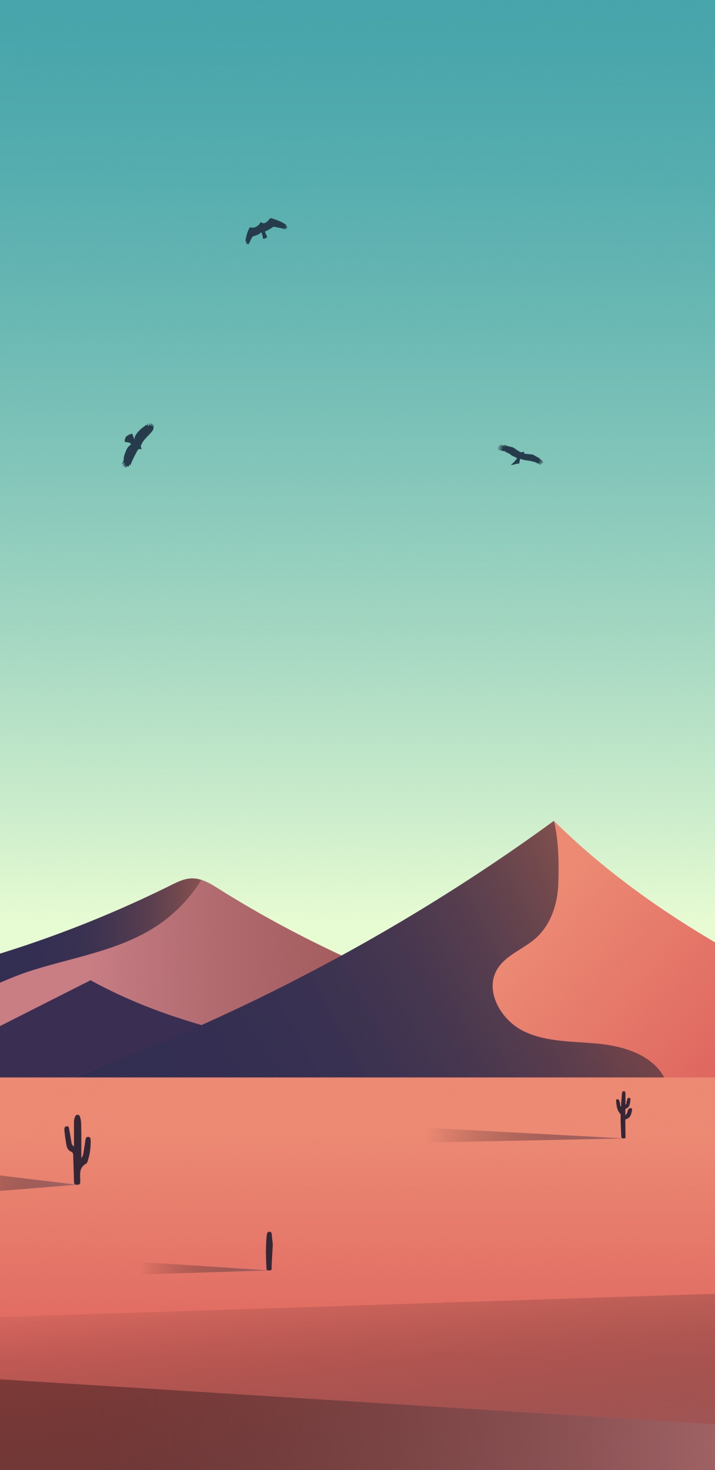 Ökoregion, Vogel, Piste, Erg, Anpassung. Wallpaper in 1440x2960 Resolution