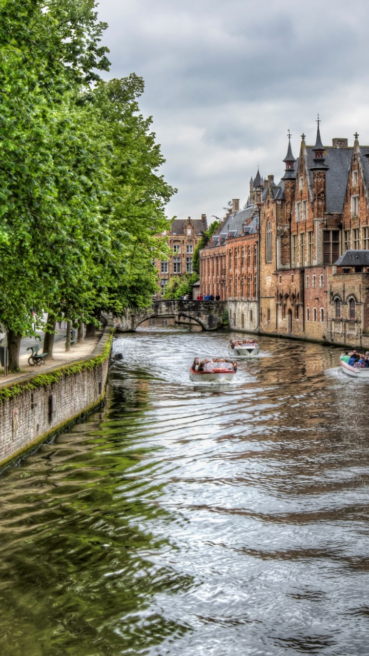 River Between Green Trees and Brown Concrete Building During Daytime. Wallpaper in 720x1280 Resolution
