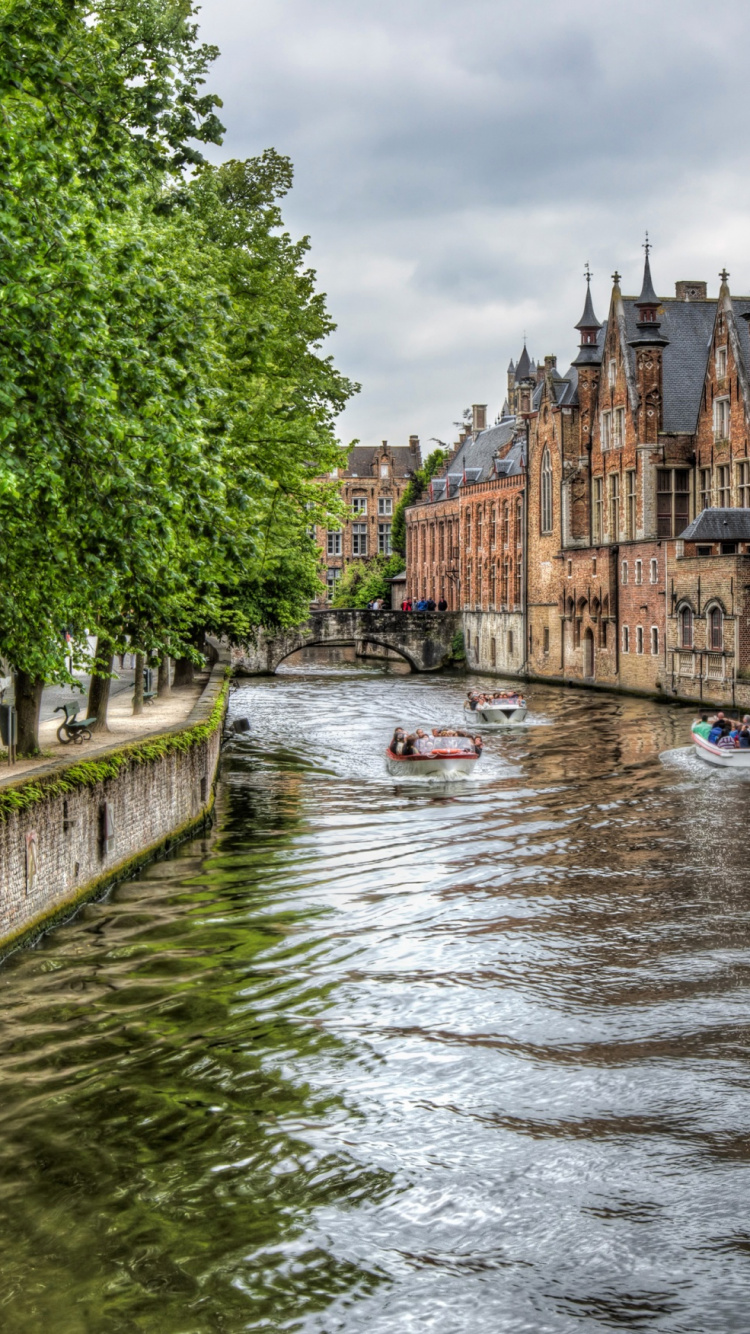 River Between Green Trees and Brown Concrete Building During Daytime. Wallpaper in 750x1334 Resolution