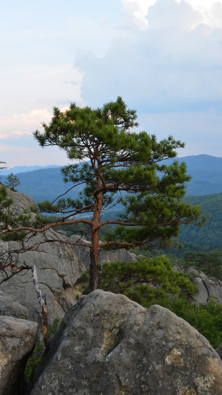 Green Trees on Mountain Under White Clouds During Daytime. Wallpaper in 750x1334 Resolution
