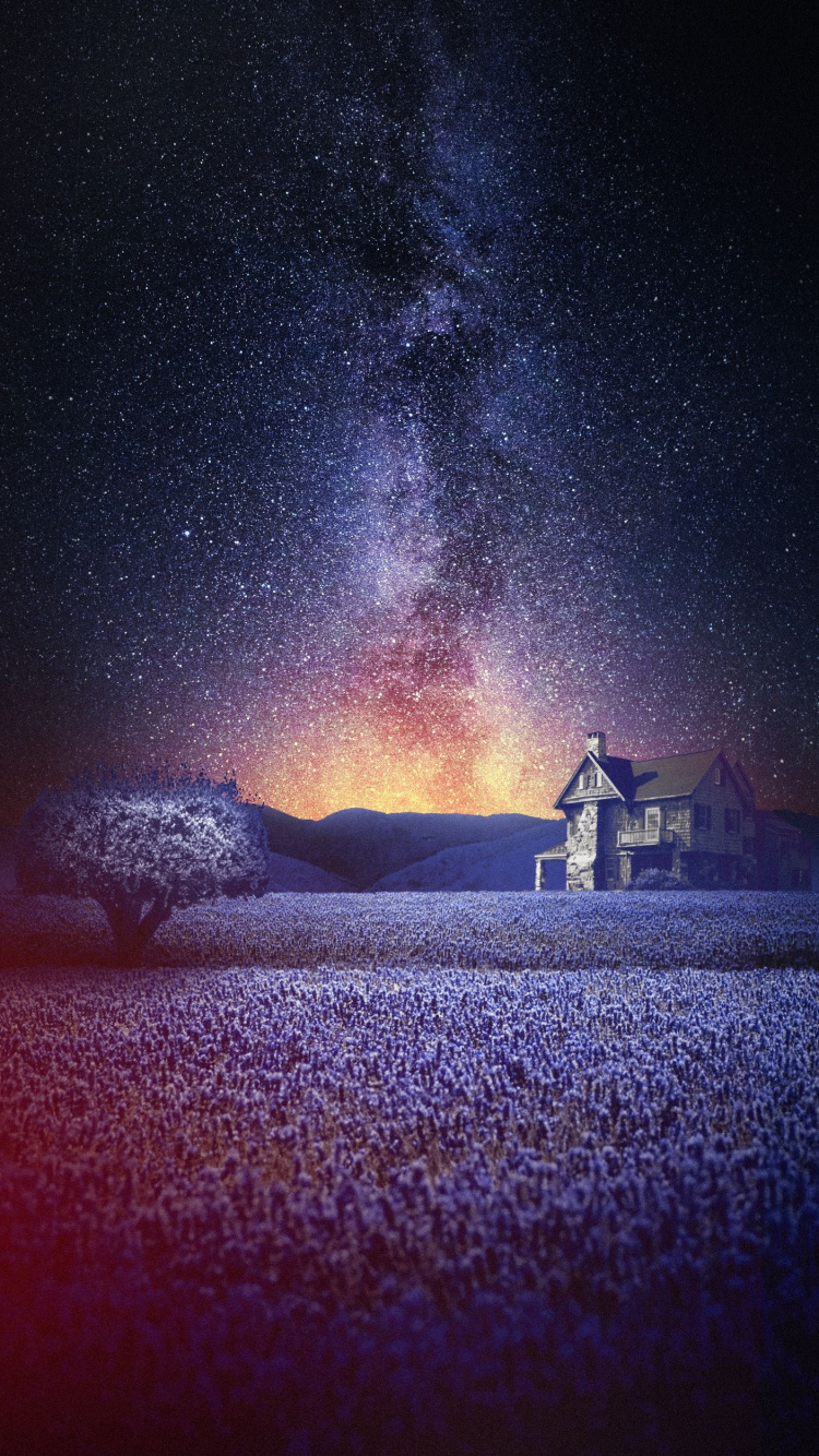 Naturaleza, Ambiente, Paisaje Natural, Aurora, Objeto Astronómico. Wallpaper in 750x1334 Resolution