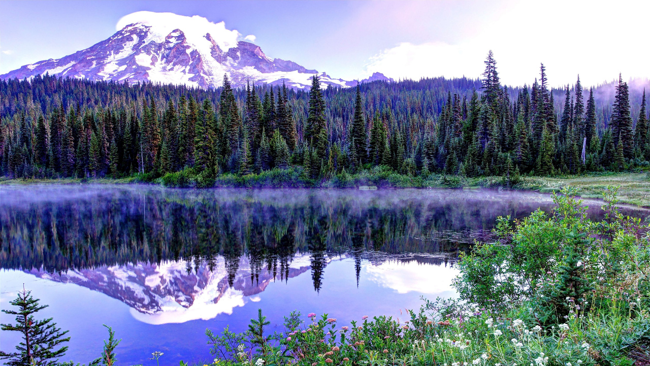 Pinos Verdes Cerca Del Lago Durante el Día. Wallpaper in 1280x720 Resolution