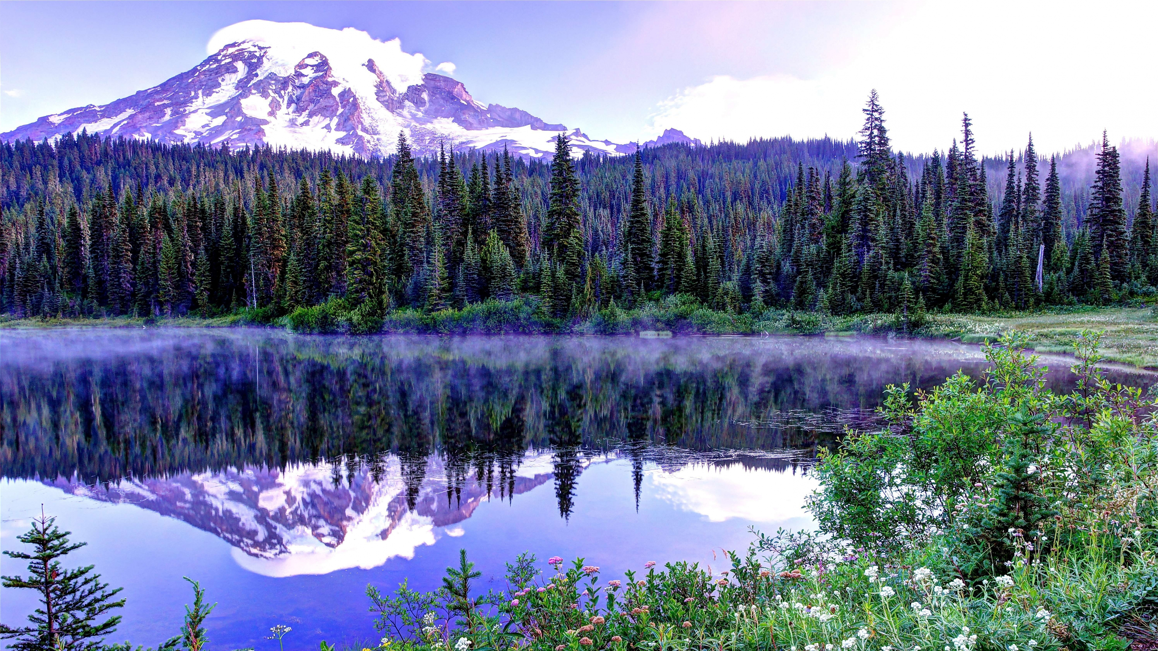 Green Pine Trees Near Lake During Daytime. Wallpaper in 3840x2160 Resolution