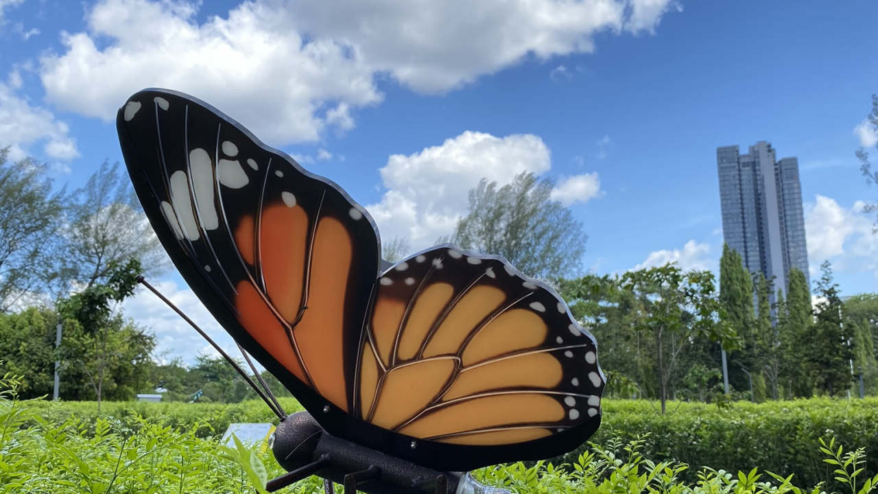 Butterflies, Ecosystem, Monarch Butterfly, Leaf, Vegetation. Wallpaper in 1280x720 Resolution
