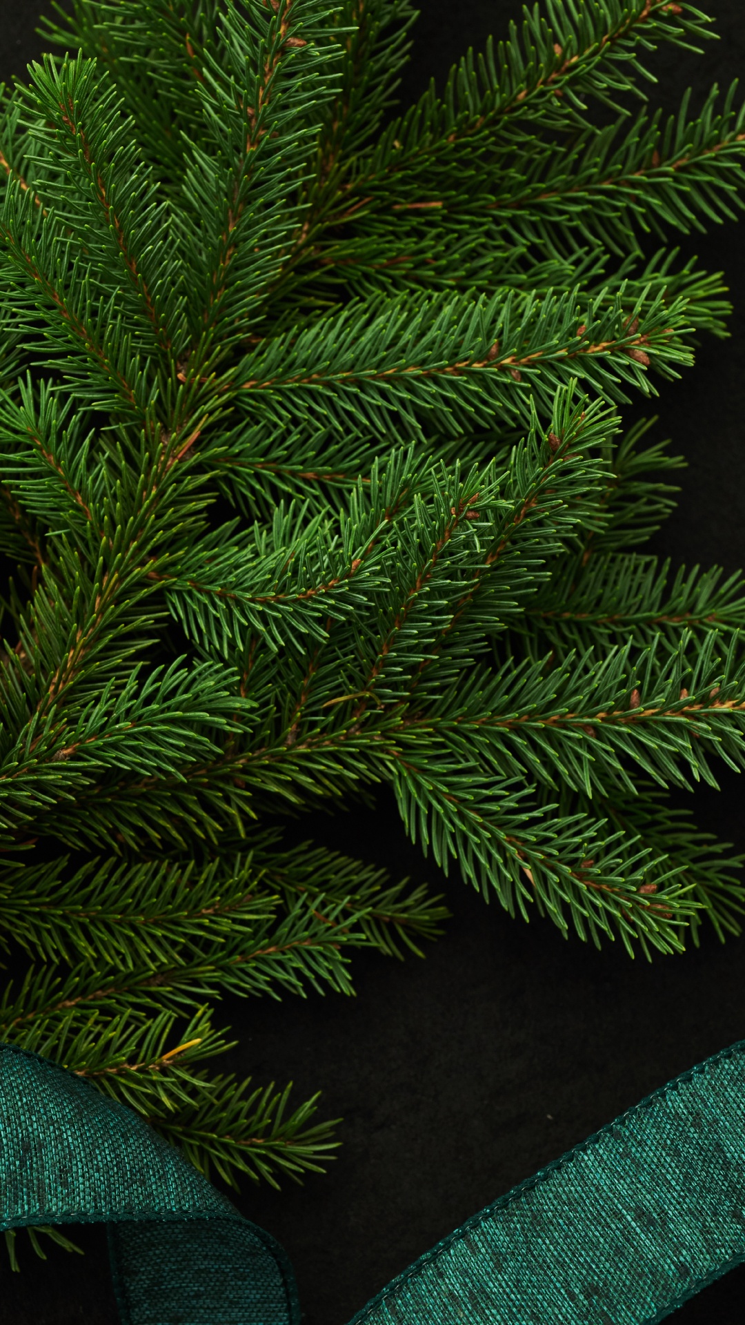 Hojas de Pino Verde Sobre Textil Negro. Wallpaper in 1080x1920 Resolution