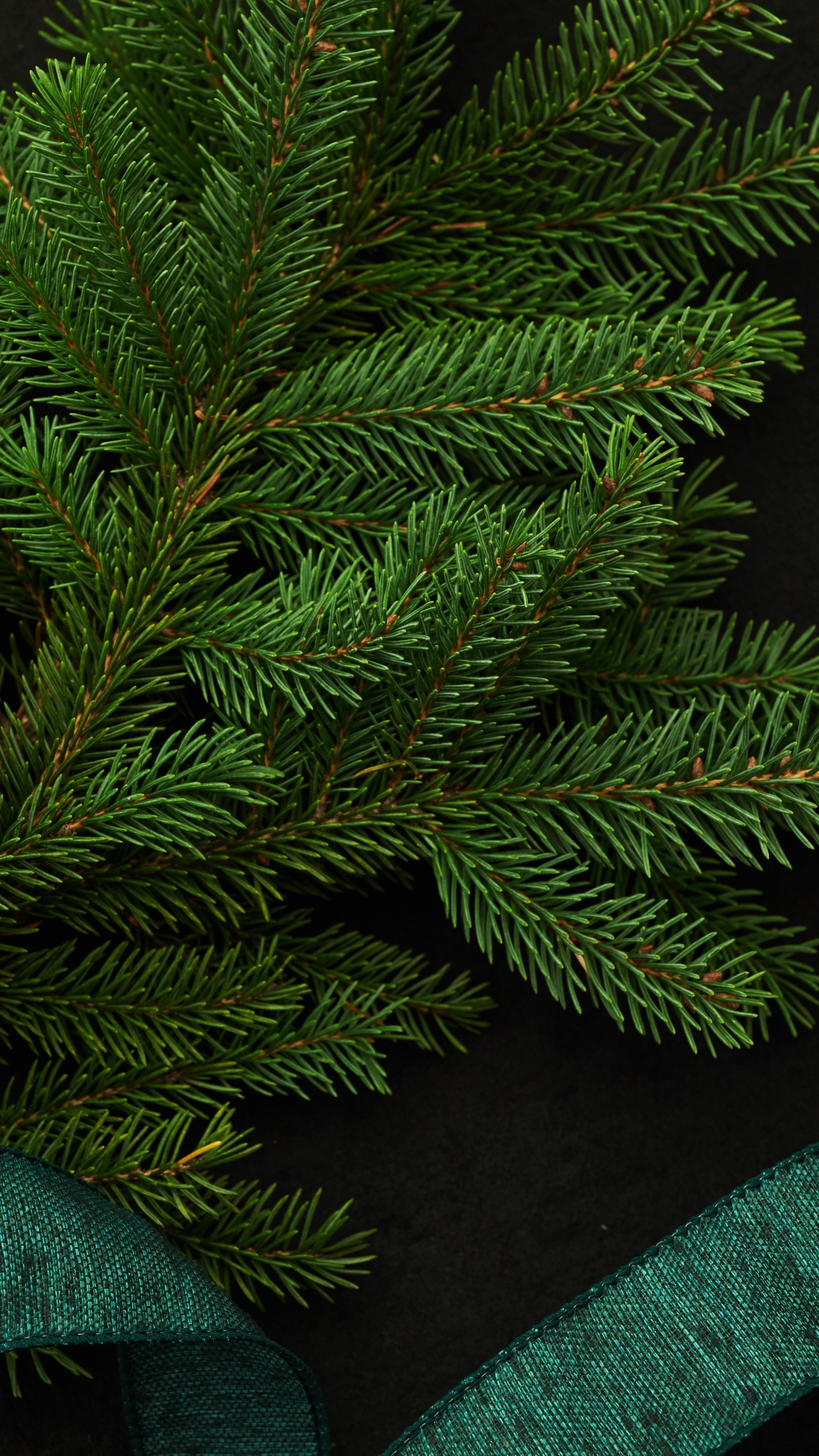 Hojas de Pino Verde Sobre Textil Negro. Wallpaper in 1440x2560 Resolution