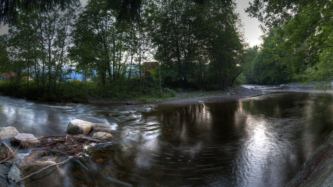 Tagsüber Grüne Bäume am Fluss. Wallpaper in 1280x720 Resolution