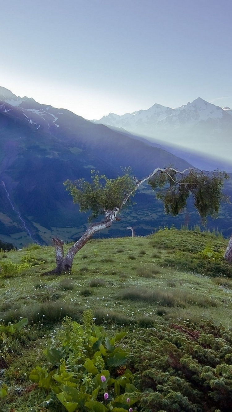 Tagsüber Grüne Wiese in Der Nähe Eines Gewässers Water. Wallpaper in 750x1334 Resolution