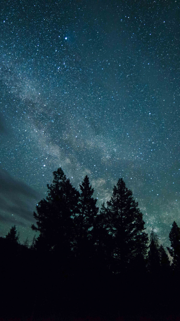 Silueta de Árboles Bajo la Noche Estrellada. Wallpaper in 750x1334 Resolution