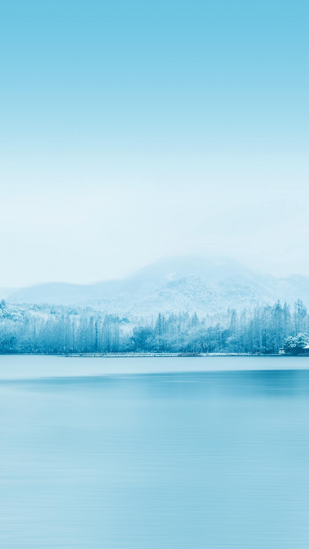 Huawei, Huawei View 20, Ehre, Smartphone, V20. Wallpaper in 1080x1920 Resolution