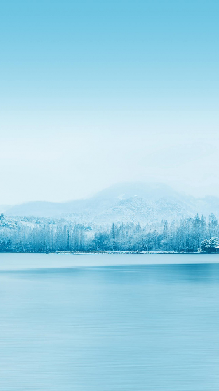 Huawei, Huawei View 20, Honneur, Smartphone, V20. Wallpaper in 750x1334 Resolution