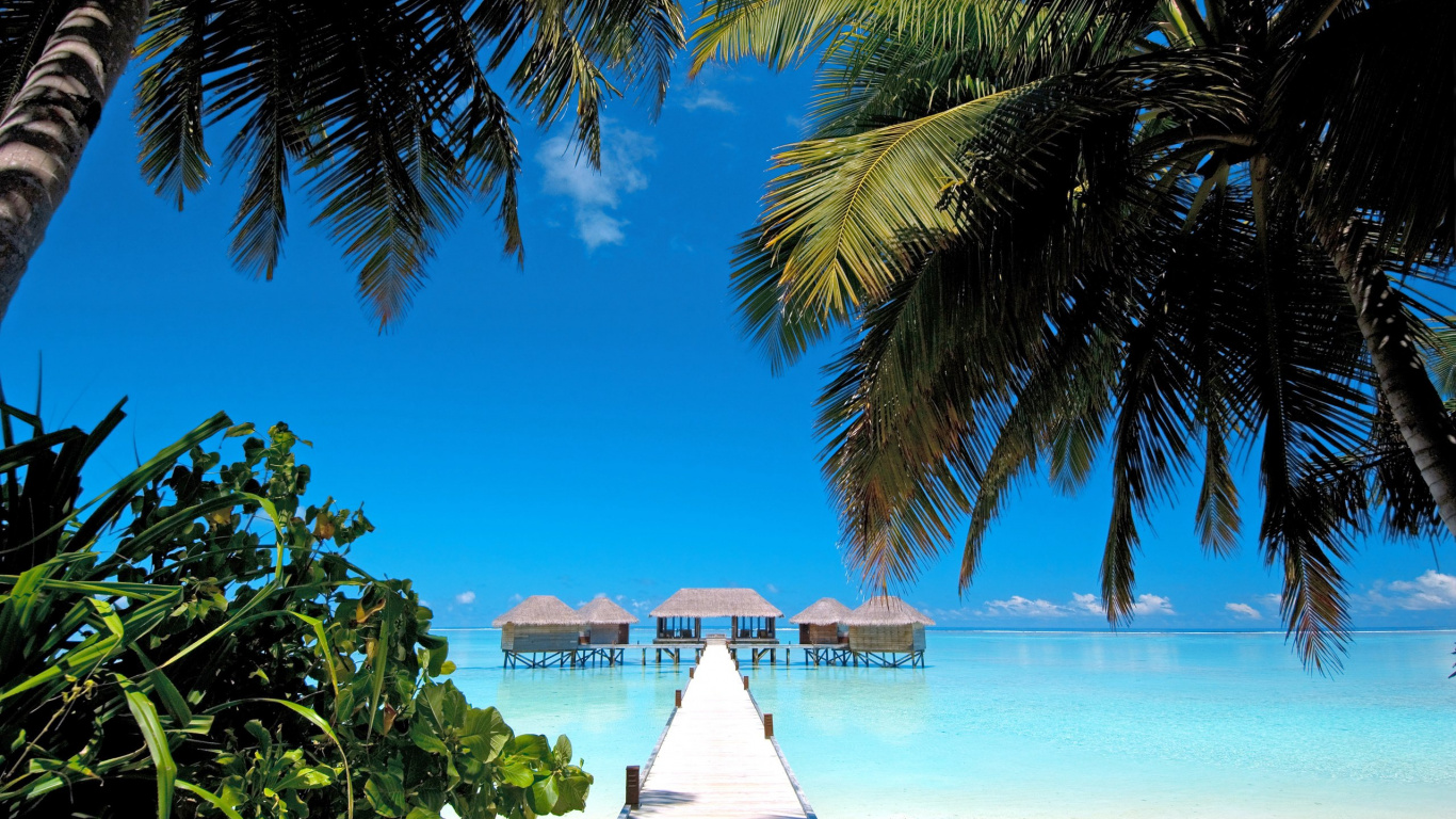 White Wooden Dock on Blue Sea Under Blue Sky During Daytime. Wallpaper in 1366x768 Resolution