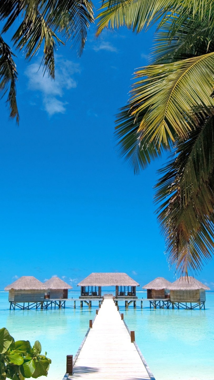 White Wooden Dock on Blue Sea Under Blue Sky During Daytime. Wallpaper in 720x1280 Resolution