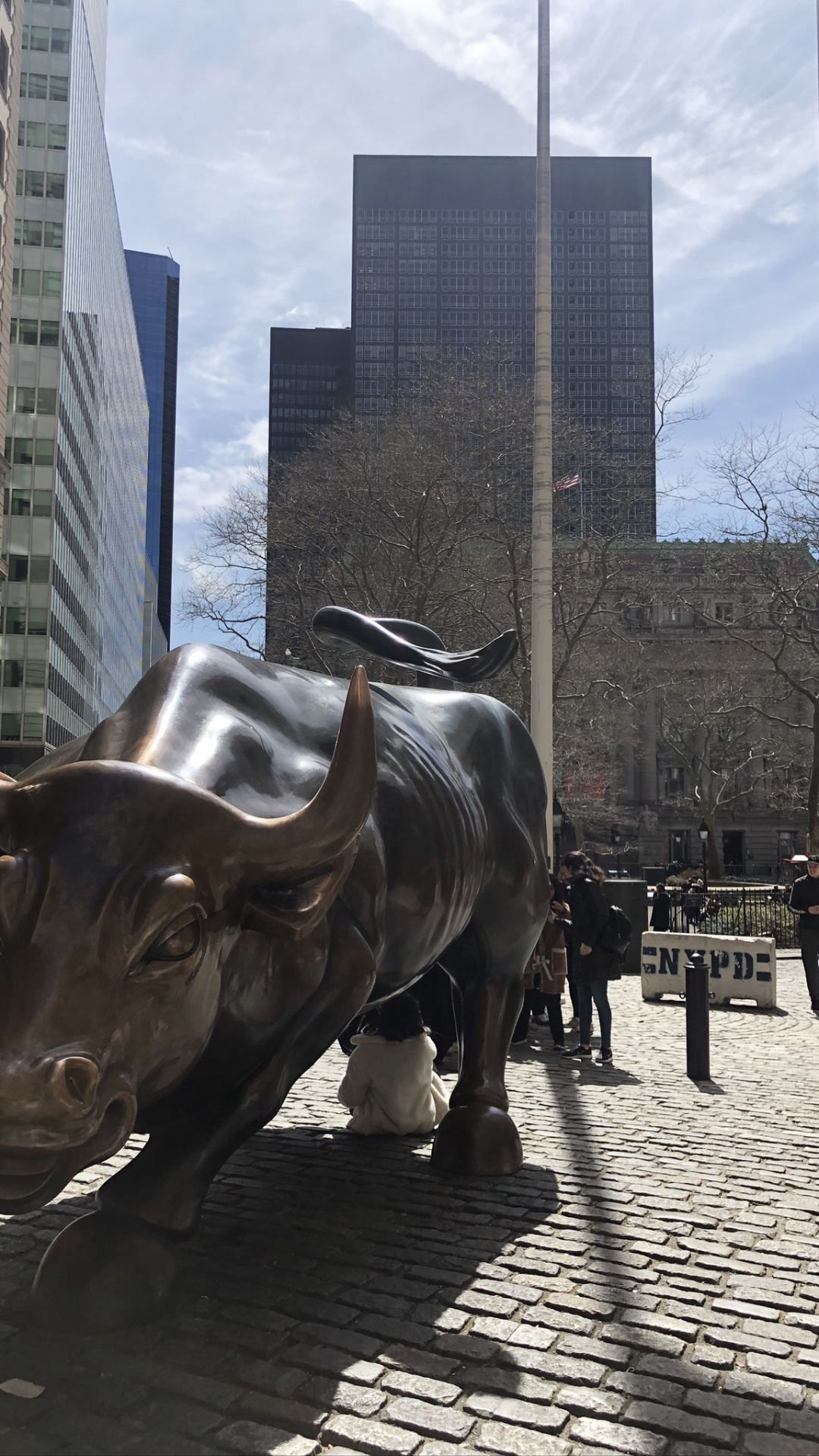 New York City, Charging Bull, Statue, Bull, Science. Wallpaper in 1080x1920 Resolution