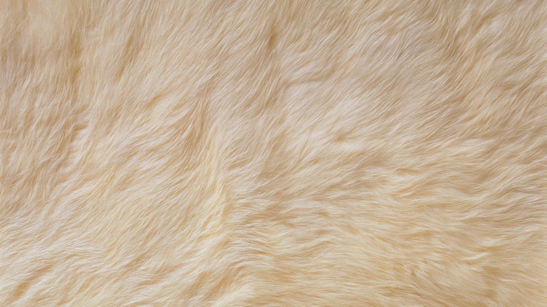 Textil Blanco en Imagen de Cerca. Wallpaper in 1920x1080 Resolution