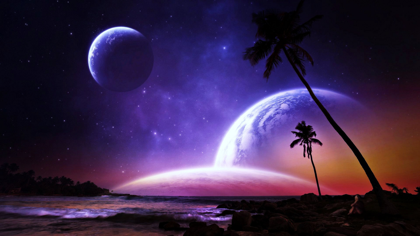 Silhouette of Palm Tree Under Starry Night. Wallpaper in 1366x768 Resolution