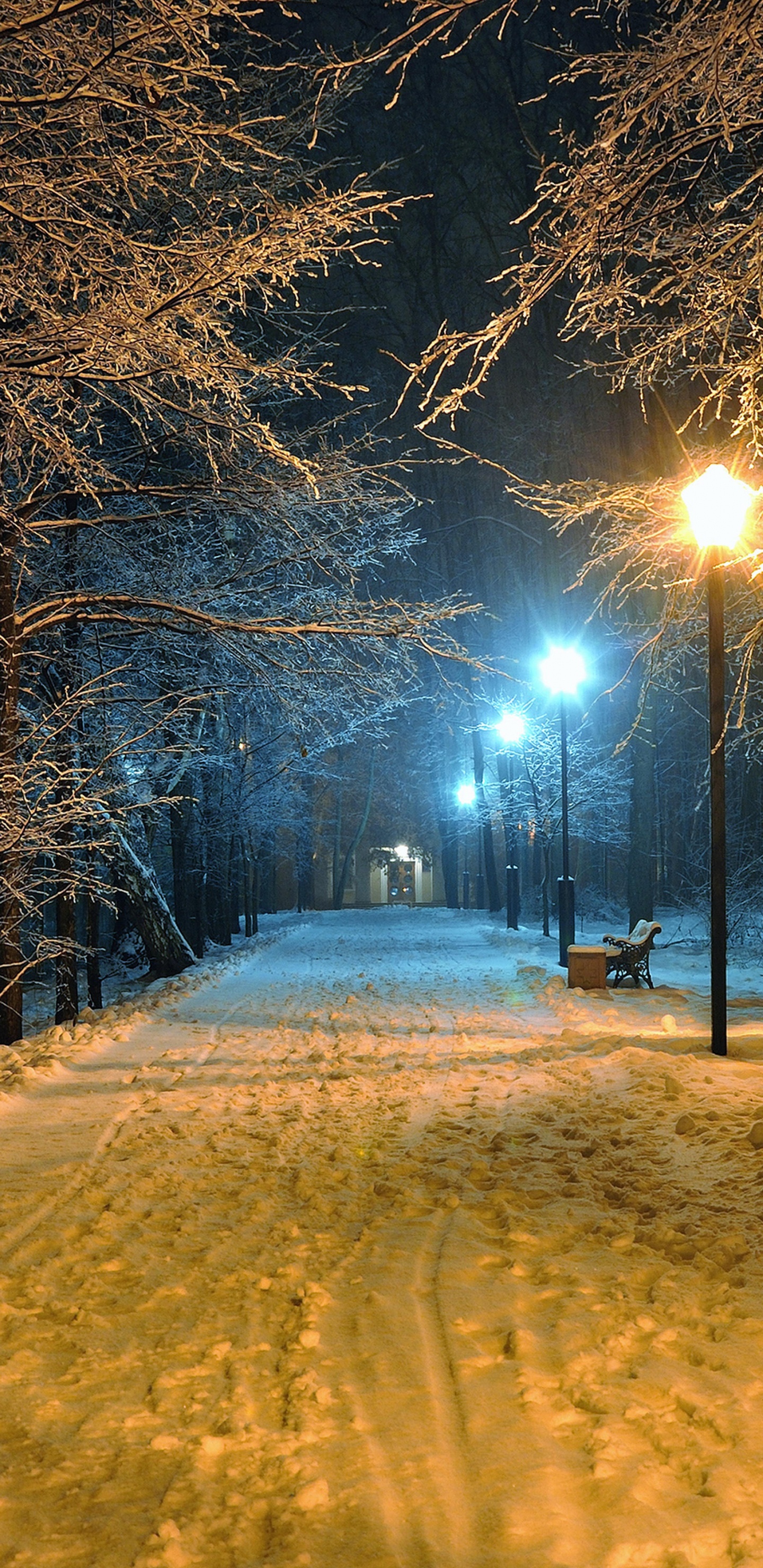 Banco de Madera Marrón Sobre Suelo Cubierto de Nieve Durante la Noche. Wallpaper in 1440x2960 Resolution