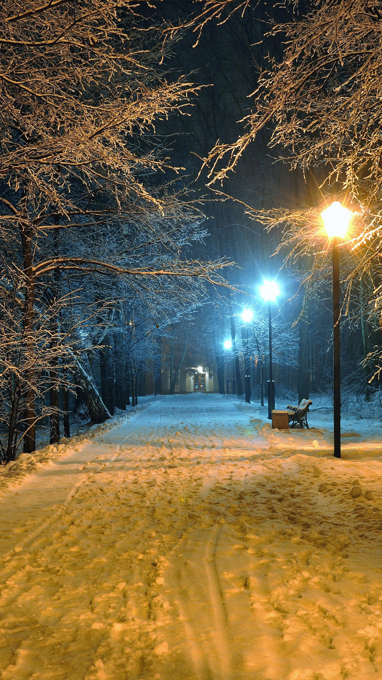 Brown Wooden Bench on Snow Covered Ground During Night Time. Wallpaper in 750x1334 Resolution