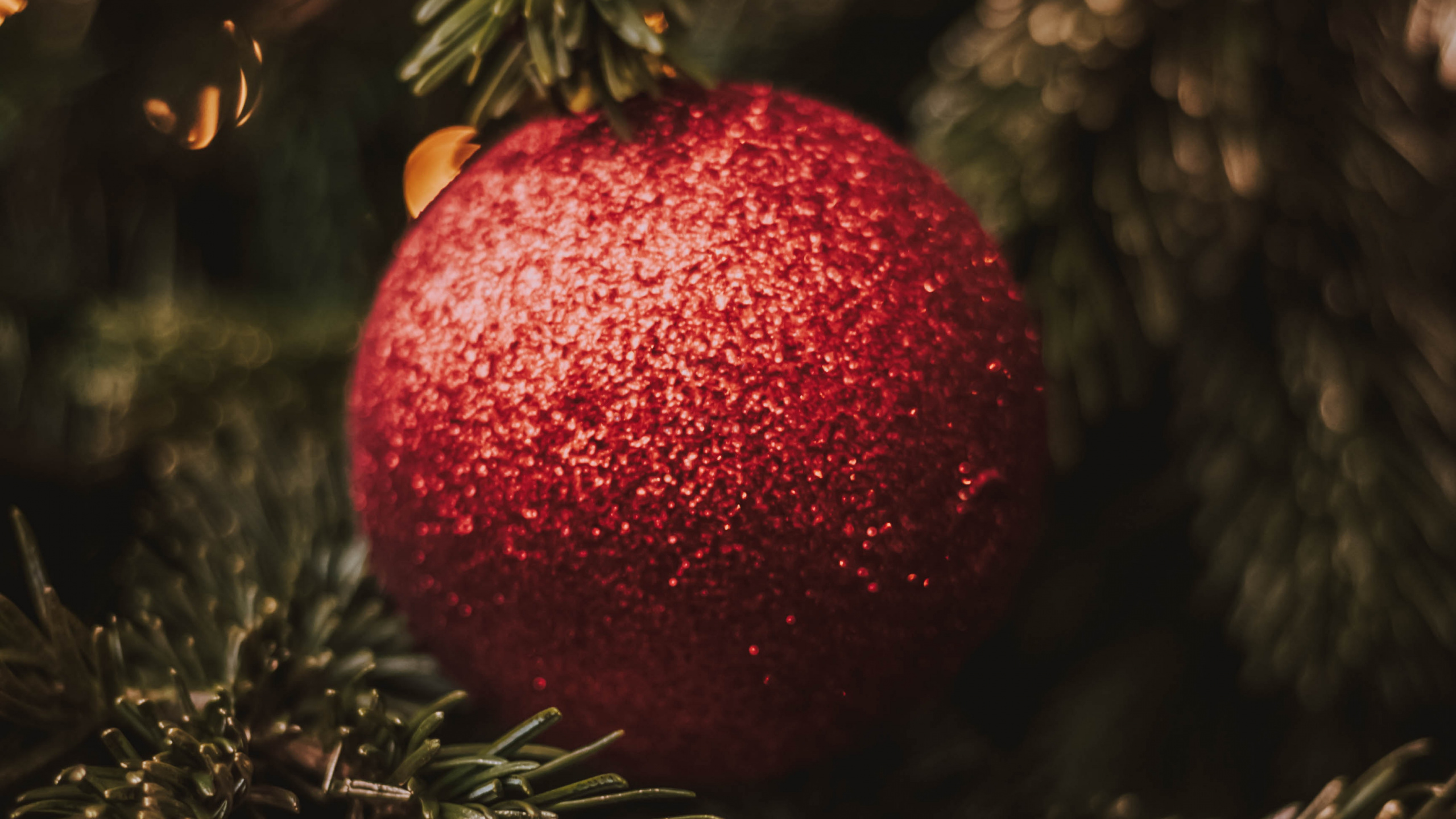 El Día De Navidad, Nochevieja, Adorno de Navidad, Navidad, Decoración de la Navidad. Wallpaper in 2560x1440 Resolution