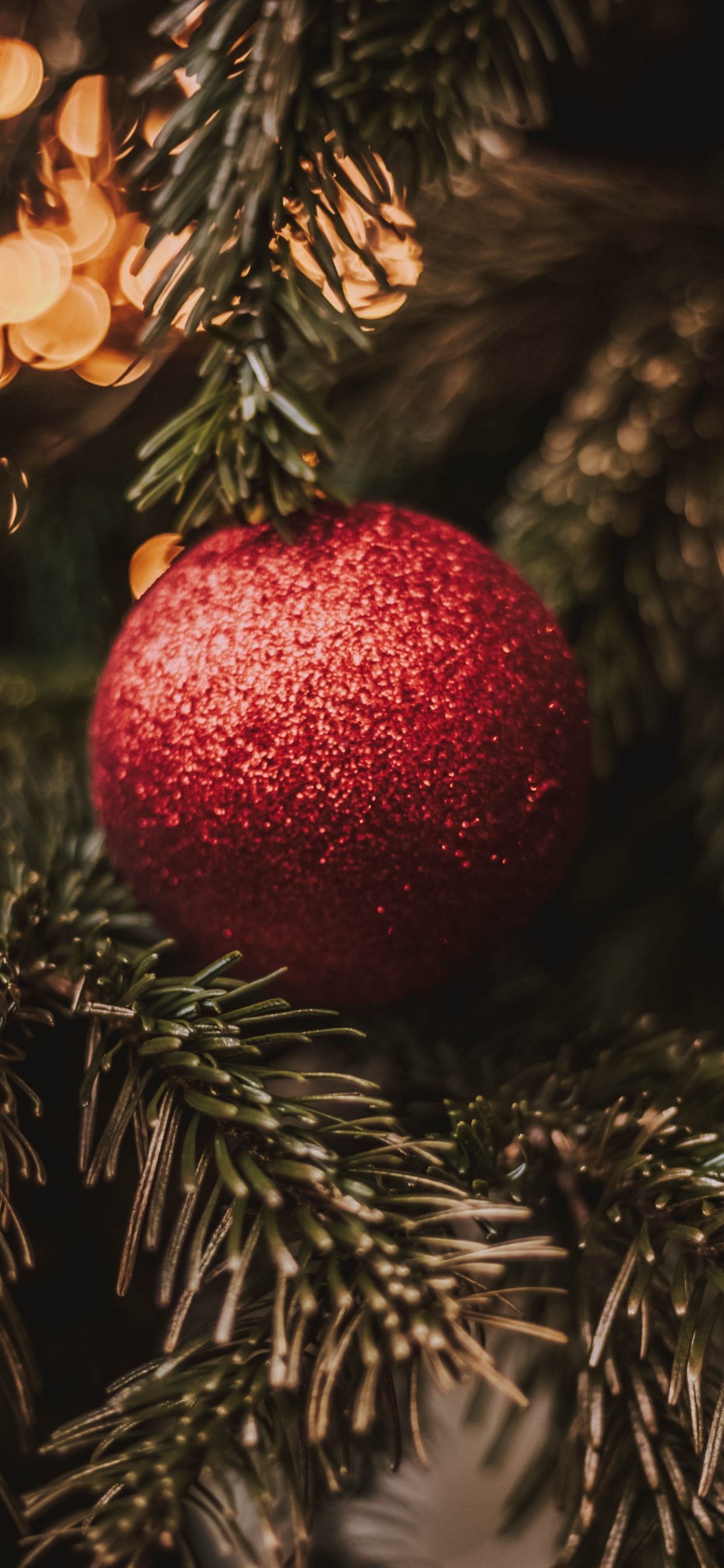 Christmas Day, New Year, Christmas Ornament, Christmas, Tree. Wallpaper in 1242x2688 Resolution