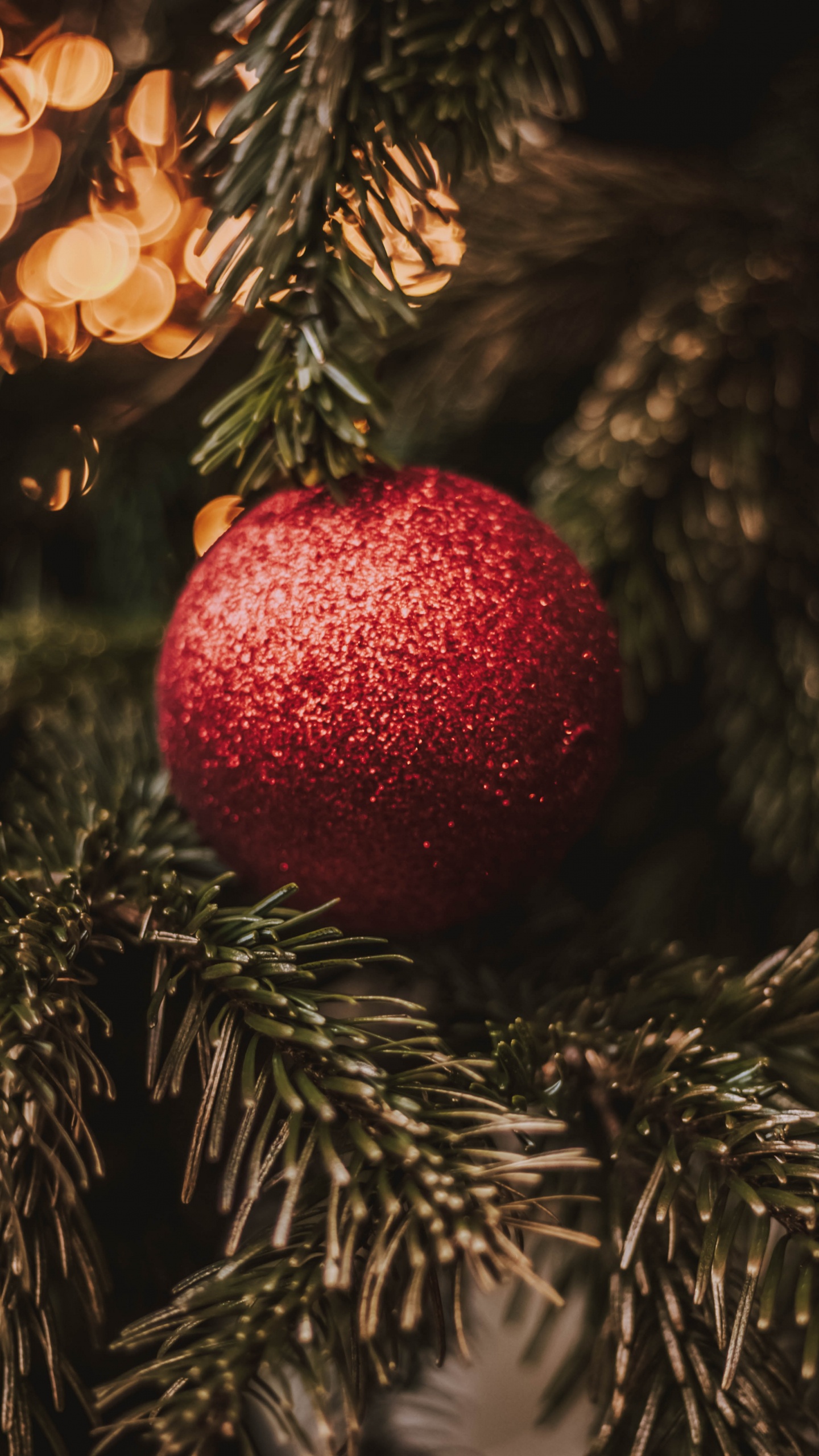 Christmas Day, New Year, Christmas Ornament, Christmas, Tree. Wallpaper in 1440x2560 Resolution