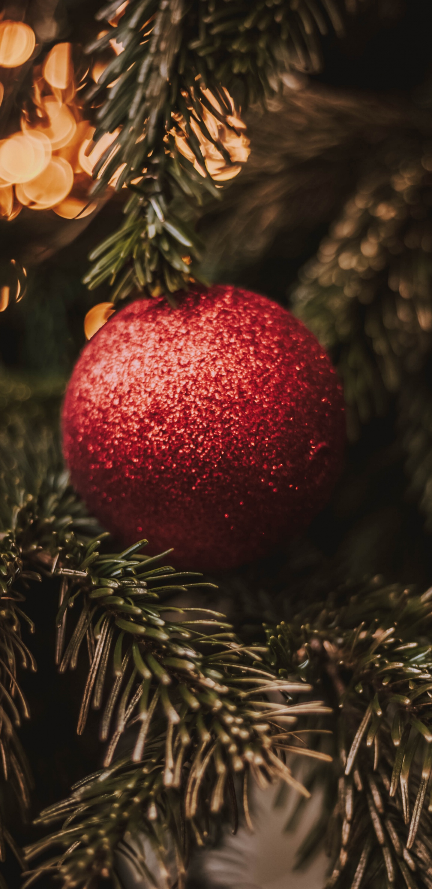 Christmas Day, New Year, Christmas Ornament, Christmas, Tree. Wallpaper in 1440x2960 Resolution