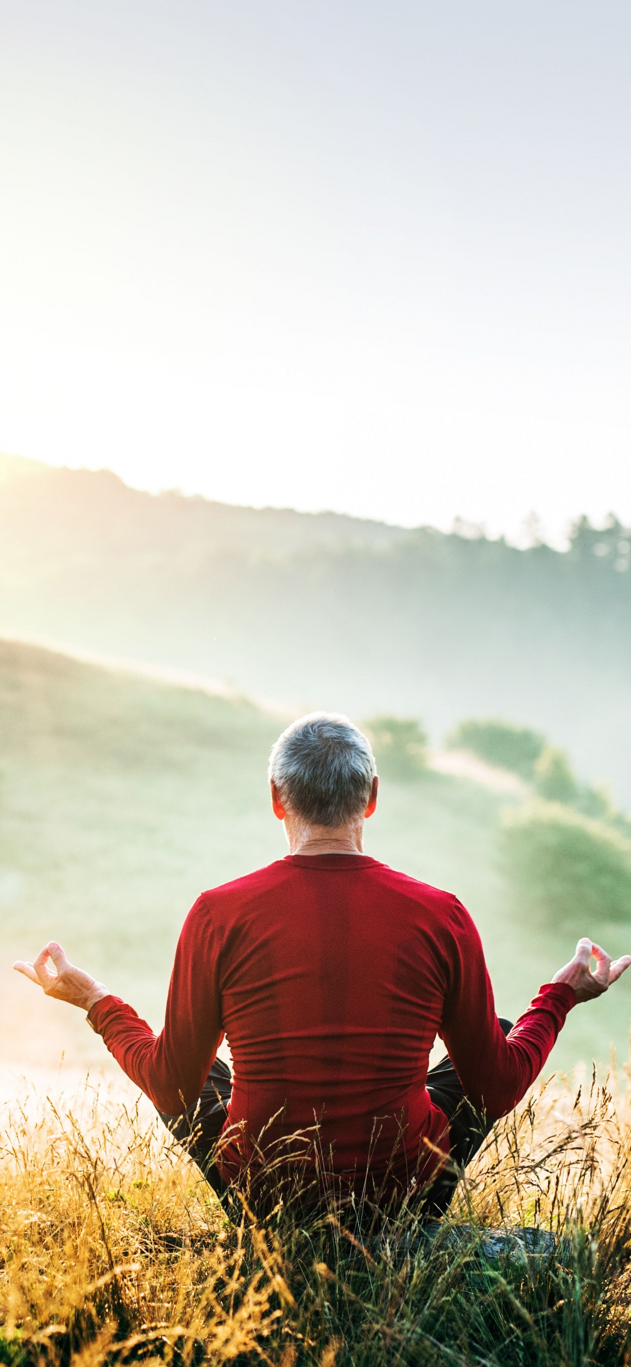 想, 人们在自然界, 性质, 草, 早上 壁纸 1242x2688 允许