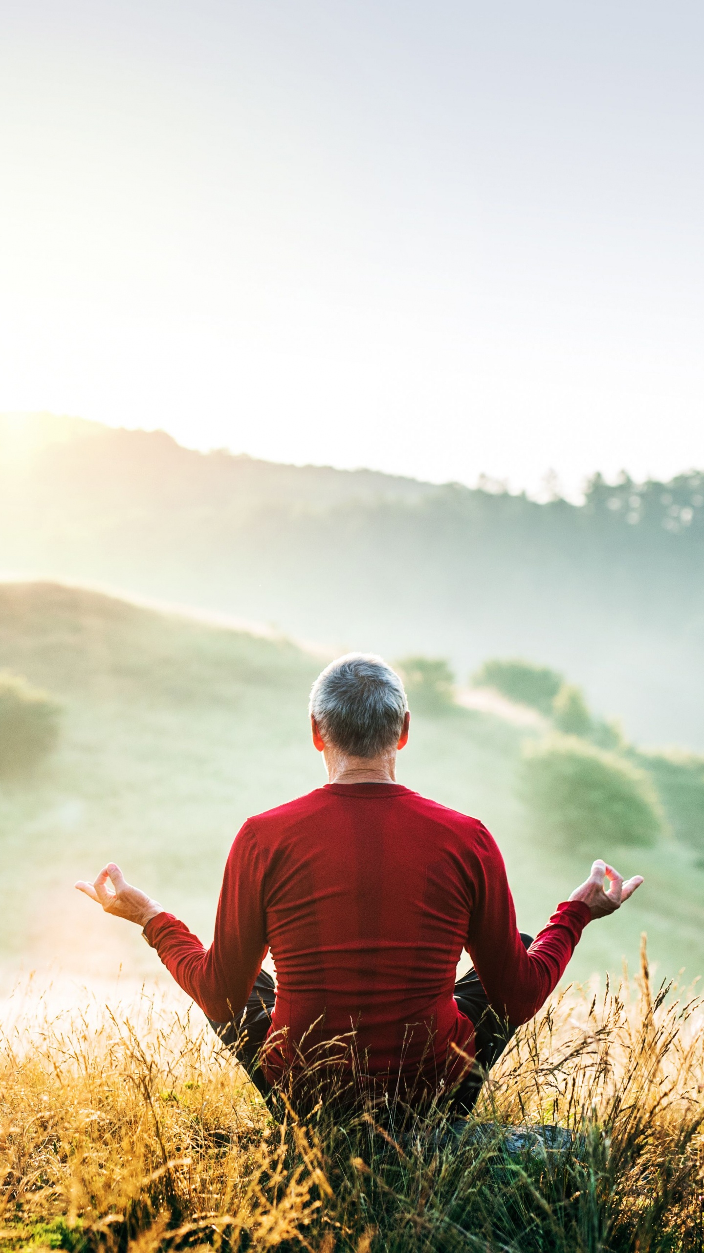 想, 人们在自然界, 性质, 草, 早上 壁纸 1440x2560 允许