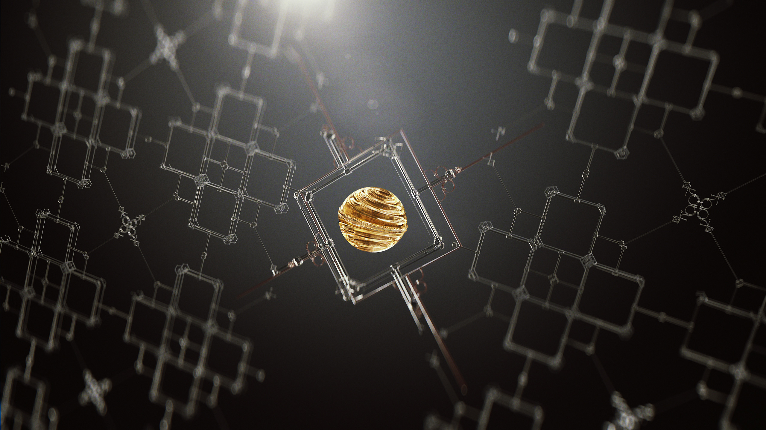 蜘蛛网, 天空, 节肢动物, 蜘蛛 壁纸 2560x1440 允许