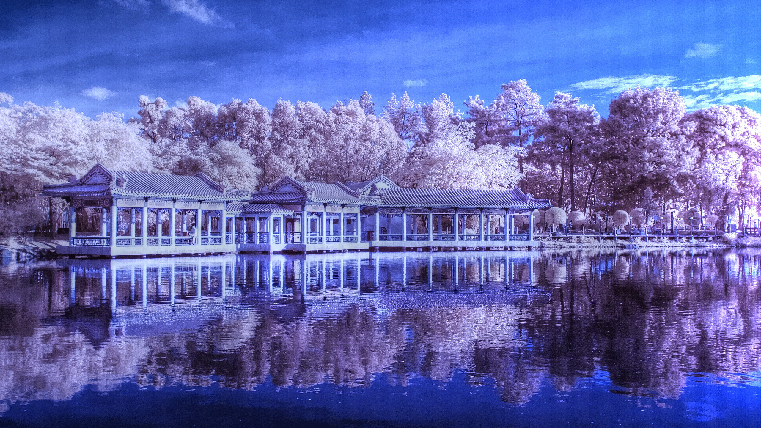 花园, 中国花园, 反射, 性质, 天空 壁纸 2560x1440 允许