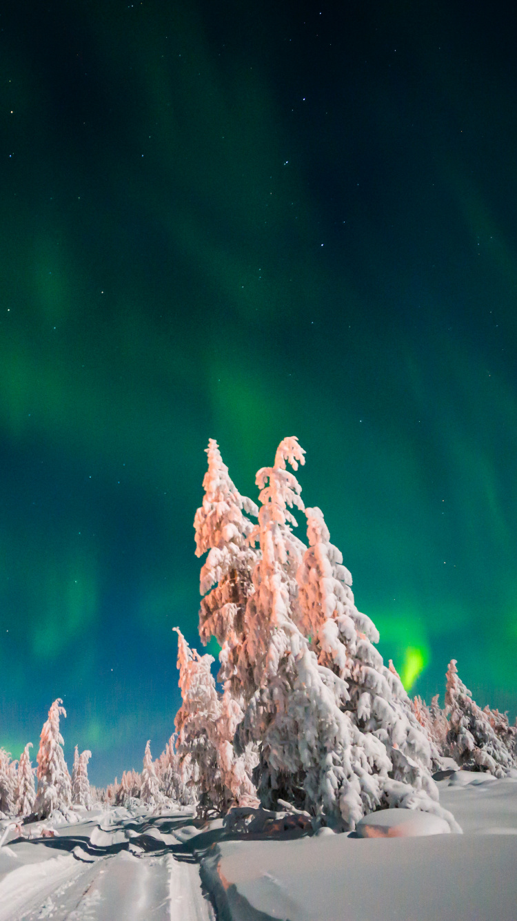 Cielo Verde y Azul Con Estrellas. Wallpaper in 750x1334 Resolution