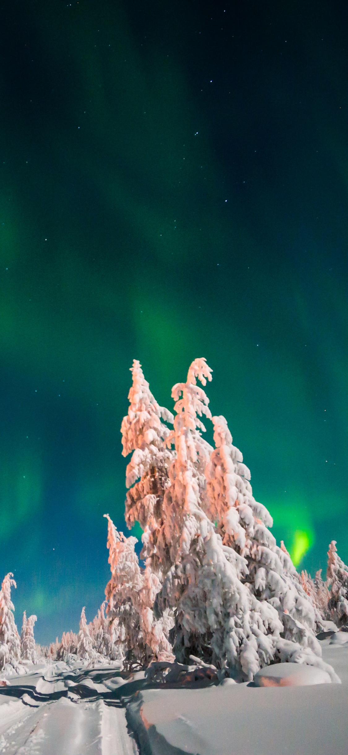 Ciel Vert et Bleu Avec Des Étoiles. Wallpaper in 1125x2436 Resolution