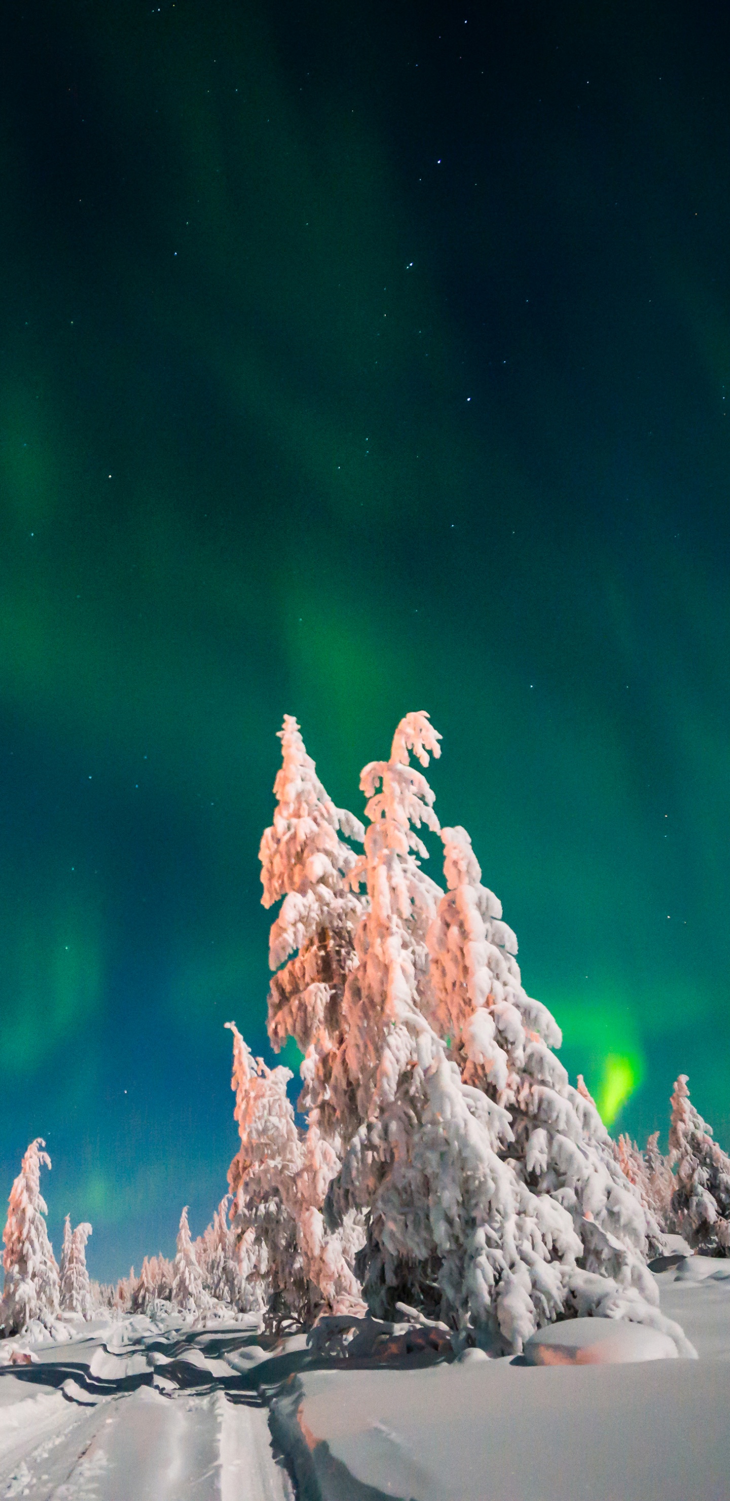Grüner Und Blauer Himmel Mit Sternen. Wallpaper in 1440x2960 Resolution