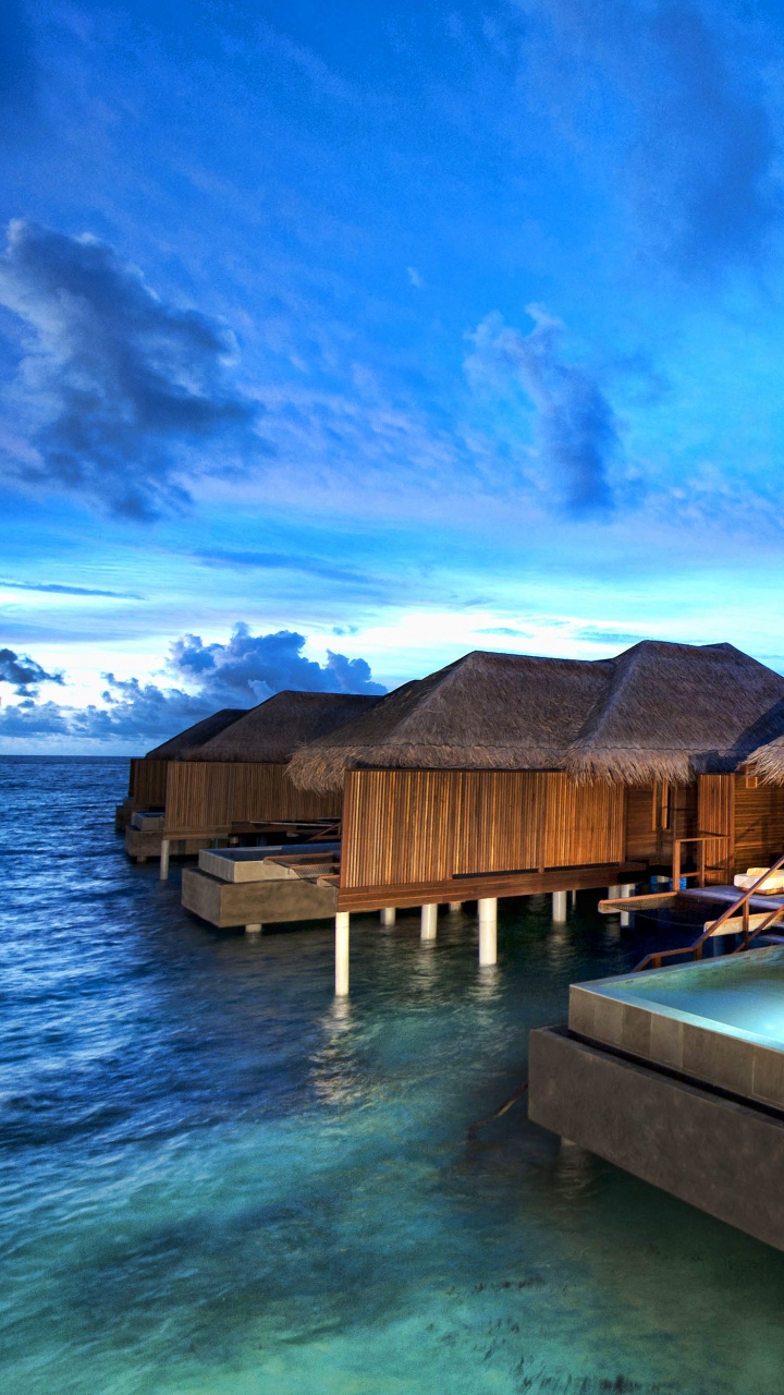 Maisons en Bois Marron Sur L'eau Verte Sous Ciel Bleu Pendant la Journée. Wallpaper in 720x1280 Resolution