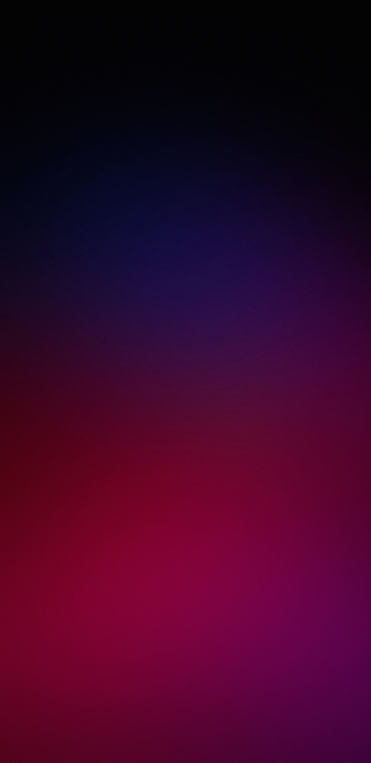Violet, Magenta, Pink, Purple, Colored. Wallpaper in 1440x2960 Resolution
