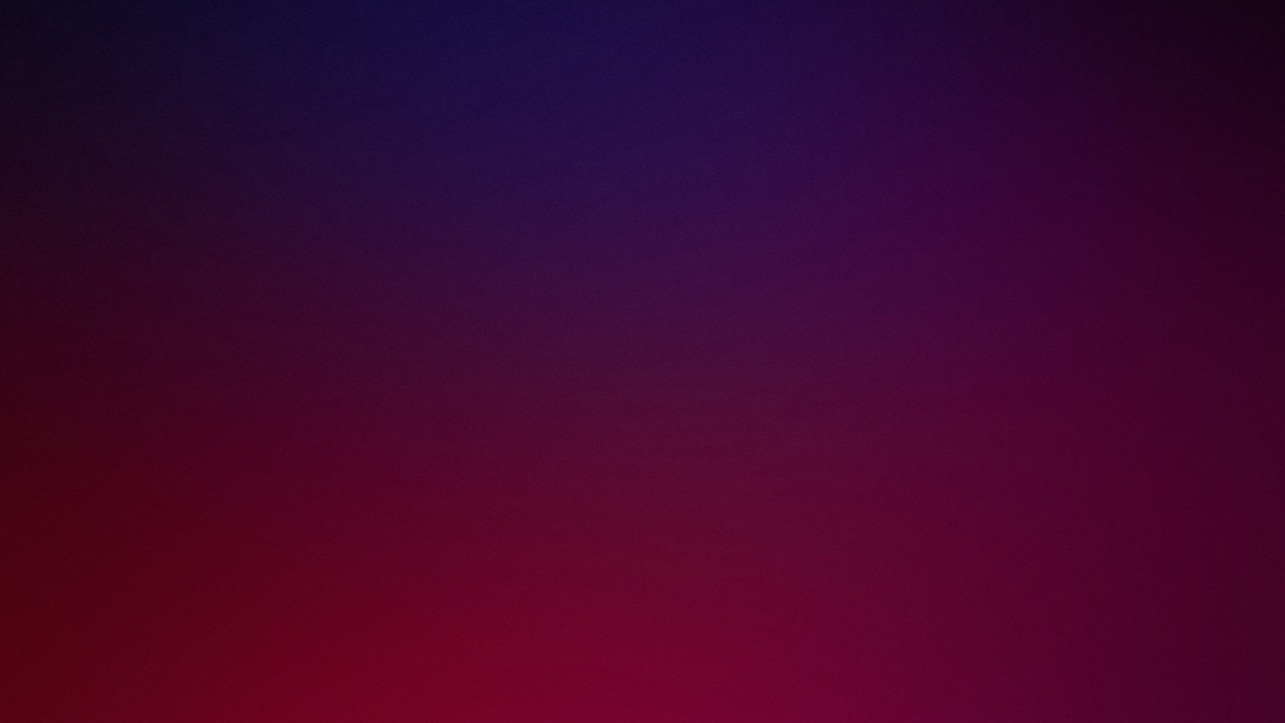 Violette, Magenta, Pink, Purple, Color. Wallpaper in 2560x1440 Resolution