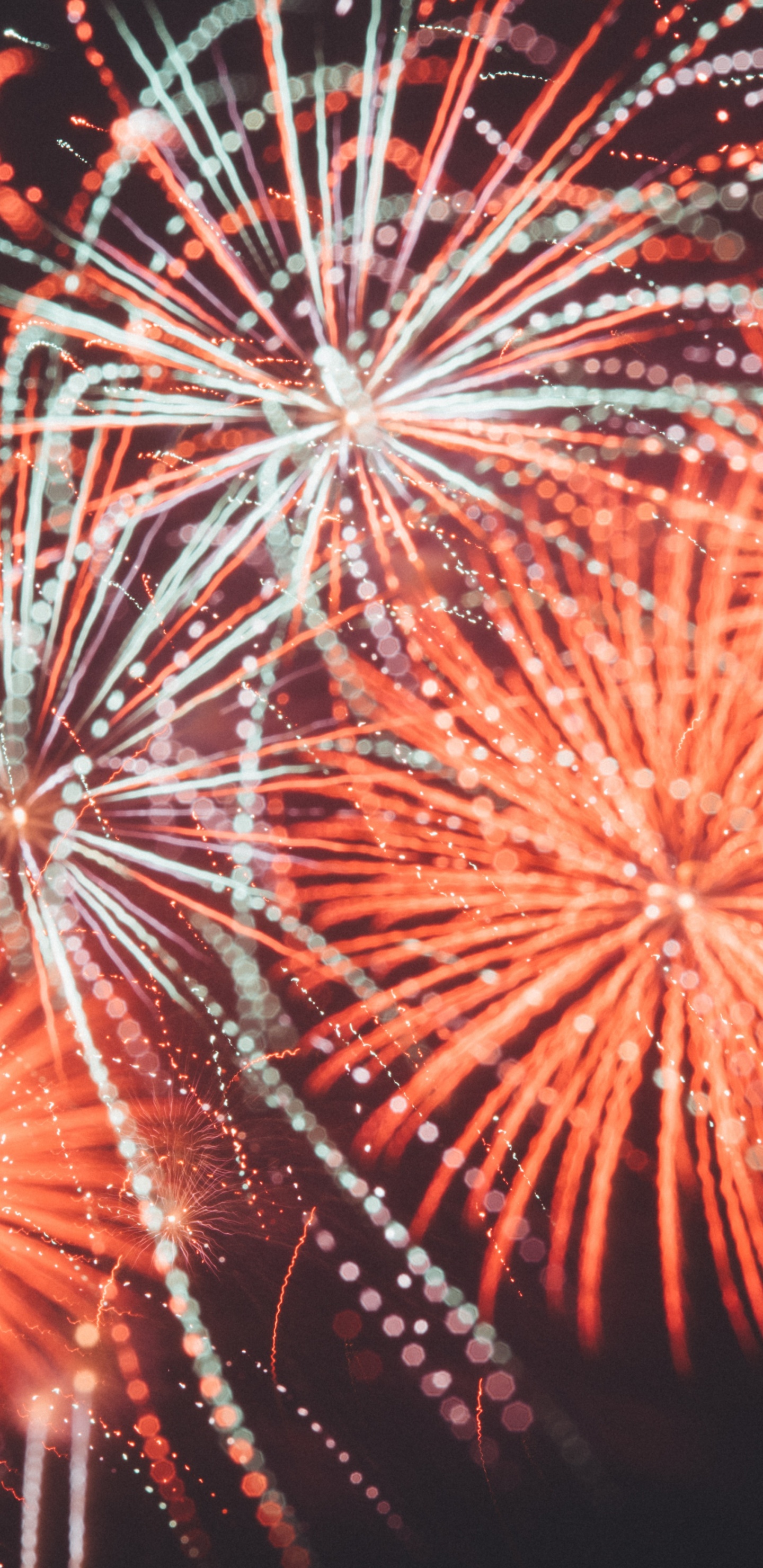 Feuerwerk, Unabhängigkeitstag, Neue Jahre Tag, Natur, Festival. Wallpaper in 1440x2960 Resolution