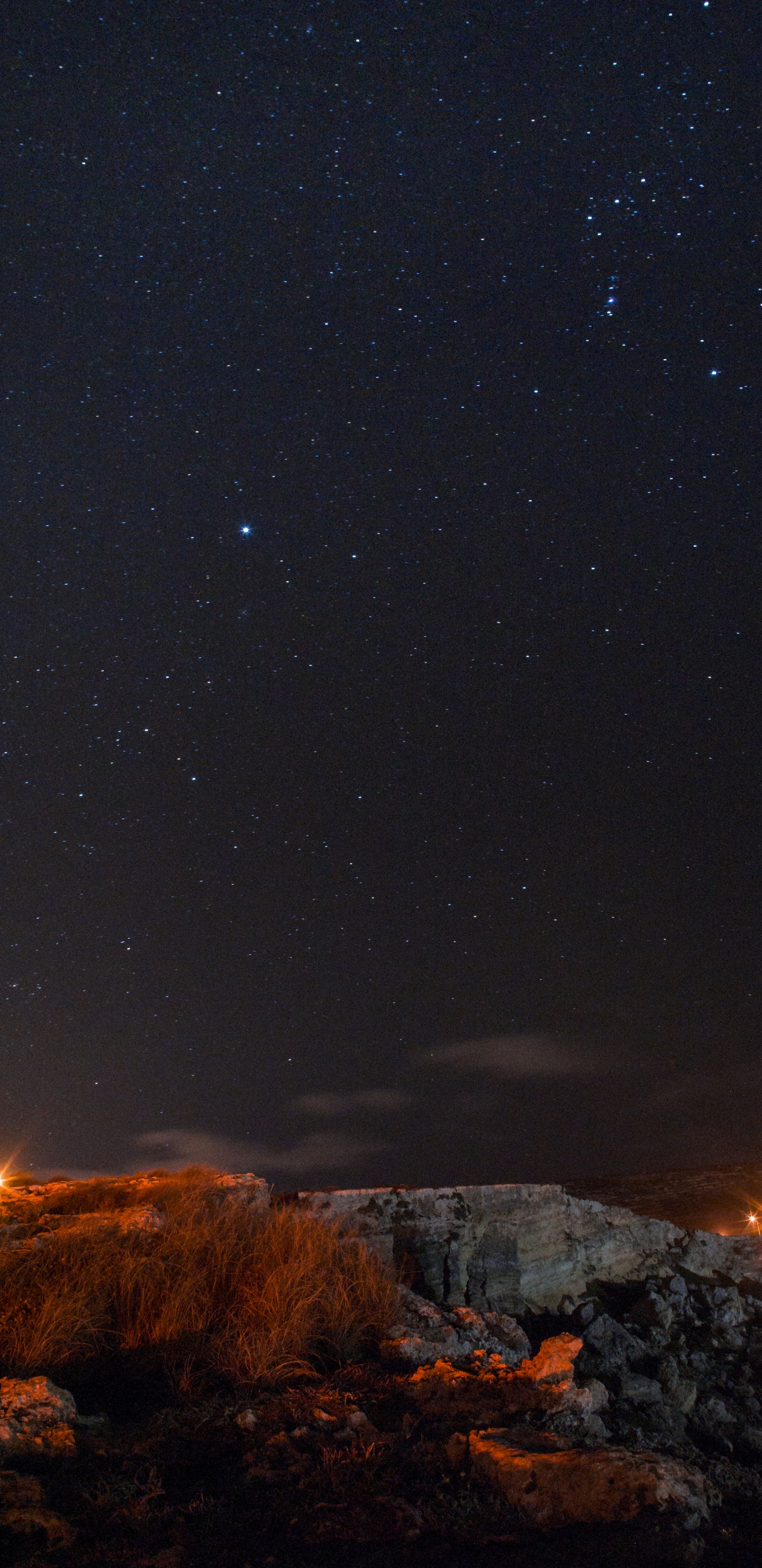 Champ D'herbe Brune Pendant la Nuit. Wallpaper in 1440x2960 Resolution