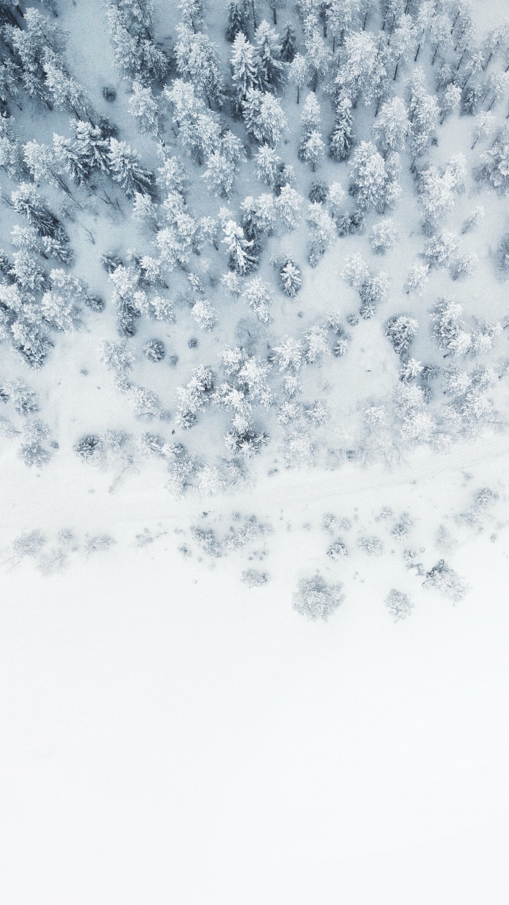 Couvrir Votre Livre de Pistes, Couvrir Vos Pistes, Peloton un Roman, Les Quatre Vents, Broché. Wallpaper in 720x1280 Resolution