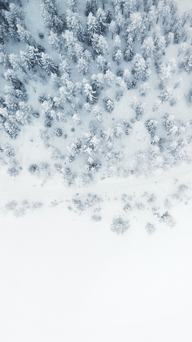 Couvrir Votre Livre de Pistes, Couvrir Vos Pistes, Peloton un Roman, Les Quatre Vents, Broché. Wallpaper in 750x1334 Resolution