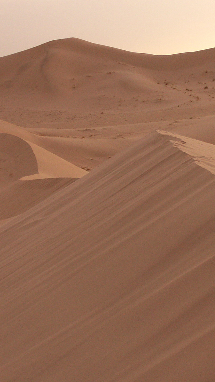 Erg, 唱沙, Wadi, 沙, 风积地貌 壁纸 750x1334 允许