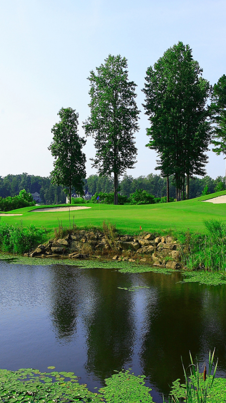 Tagsüber Grüne Wiese in Der Nähe Des Sees. Wallpaper in 750x1334 Resolution