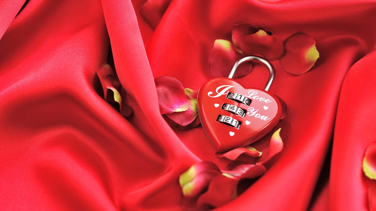 el Día de San Valentín, Rojo, Pétalo, de Cerca, Las Rosas de Jardín. Wallpaper in 1280x720 Resolution