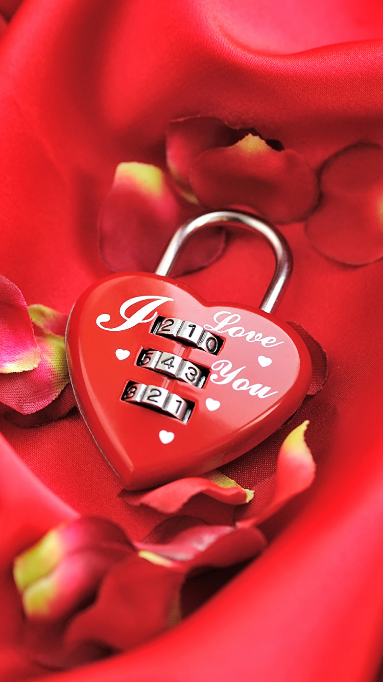 Valentines Day, Red, Flower, Petal, Close Up. Wallpaper in 750x1334 Resolution