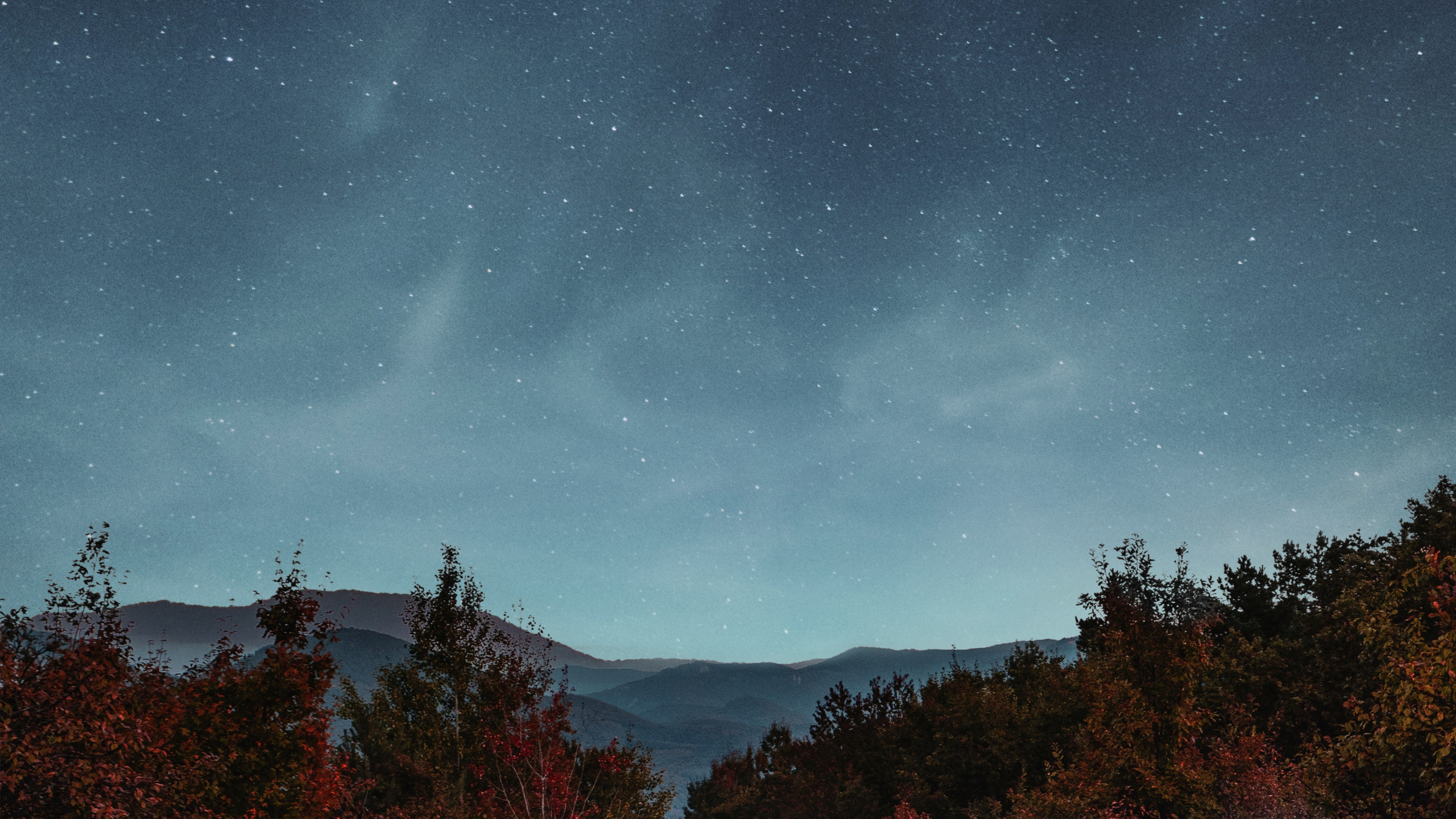 Erde, Atmosphäre, Licht, Gr, Natur. Wallpaper in 2560x1440 Resolution