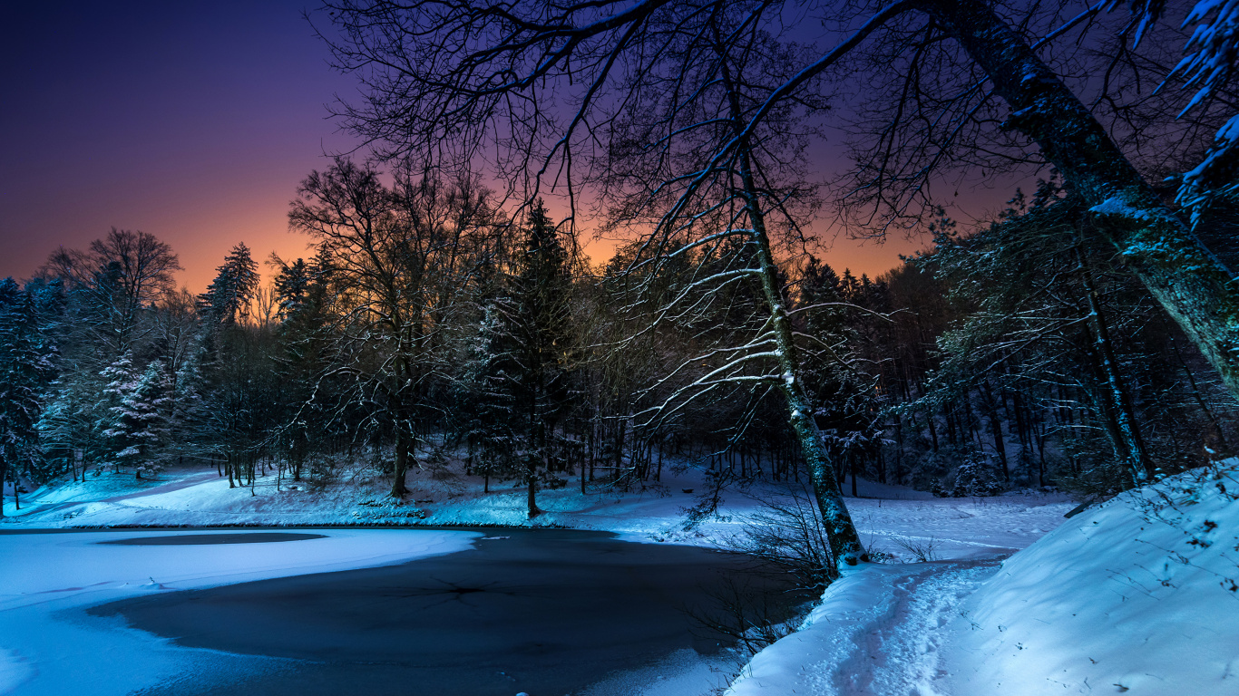 Arbres Bruns Sur Sol Couvert de Neige Pendant la Nuit. Wallpaper in 1366x768 Resolution